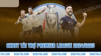 8XBet - Nhà cái nổi trội nhất hiện nay trong giới cá cược trực tuyến